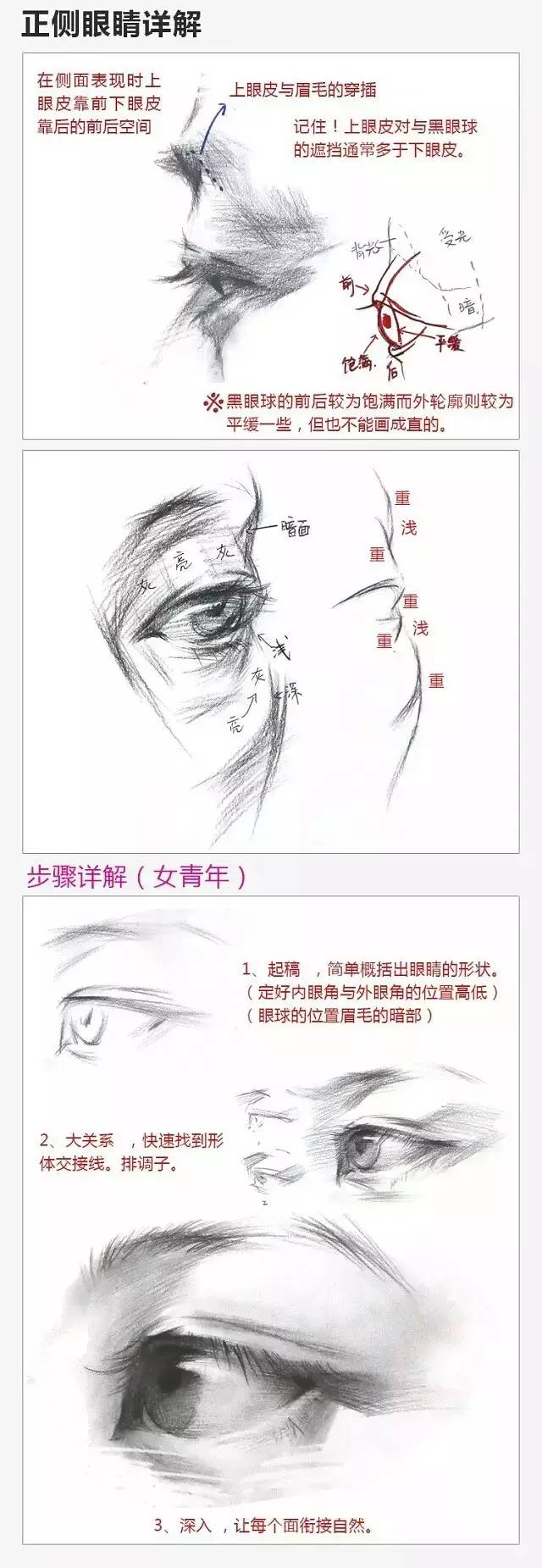2017年美術(shù)聯(lián)考加分秘籍之頭像五官透徹解析 2017年美術(shù)聯(lián)考加分秘籍之頭像五官透徹解析