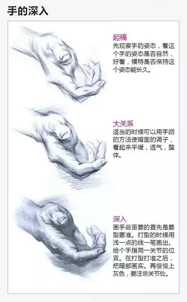 2017年美術(shù)聯(lián)考加分秘籍之頭像五官透徹解析 2017年美術(shù)聯(lián)考加分秘籍之頭像五官透徹解析
