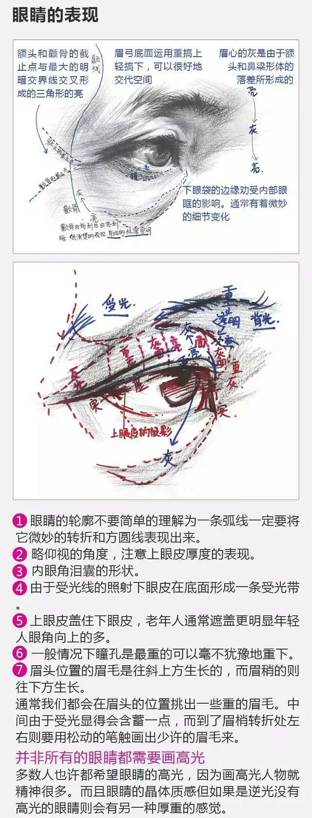 2017年美術(shù)聯(lián)考加分秘籍之頭像五官透徹解析 2017年美術(shù)聯(lián)考加分秘籍之頭像五官透徹解析