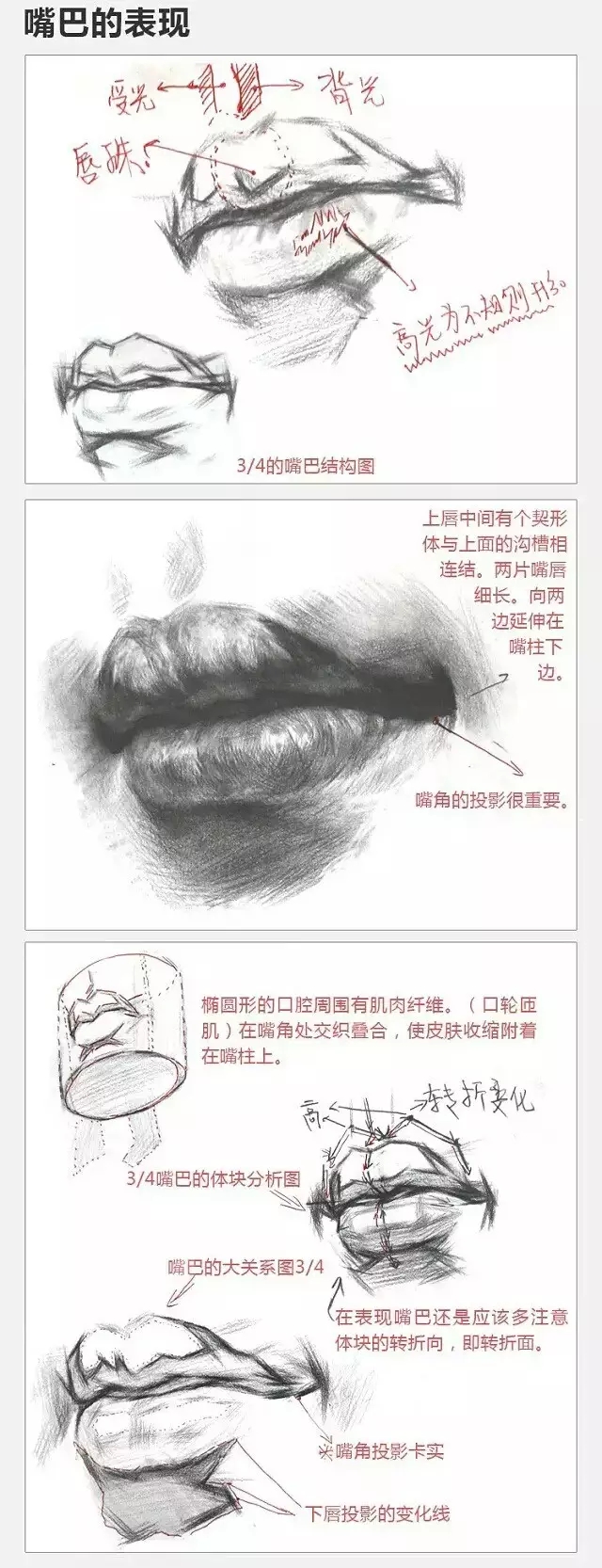 2017年美術(shù)聯(lián)考加分秘籍之頭像五官透徹解析 2017年美術(shù)聯(lián)考加分秘籍之頭像五官透徹解析