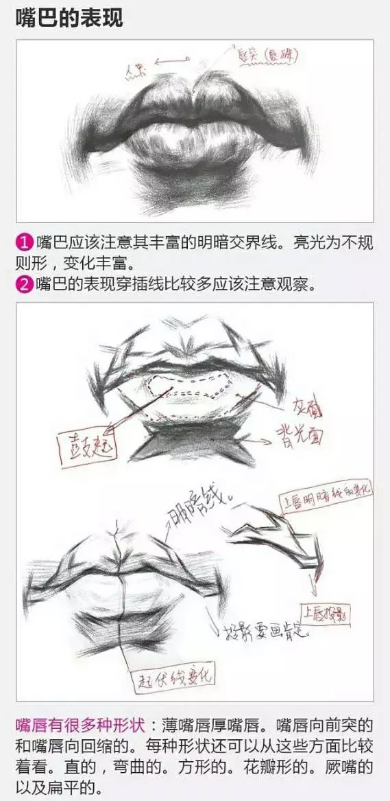 2017年美術(shù)聯(lián)考加分秘籍之頭像五官透徹解析 2017年美術(shù)聯(lián)考加分秘籍之頭像五官透徹解析