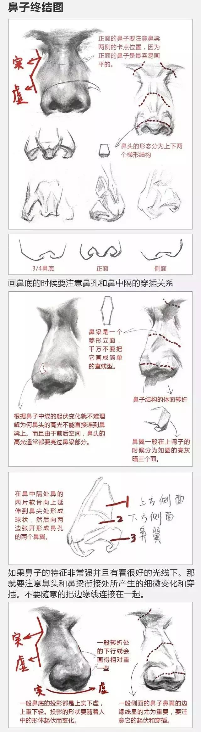 2017年美術(shù)聯(lián)考加分秘籍之頭像五官透徹解析 2017年美術(shù)聯(lián)考加分秘籍之頭像五官透徹解析