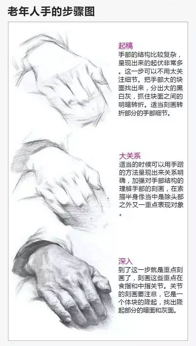 2017年美術(shù)聯(lián)考加分秘籍之頭像五官透徹解析 2017年美術(shù)聯(lián)考加分秘籍之頭像五官透徹解析