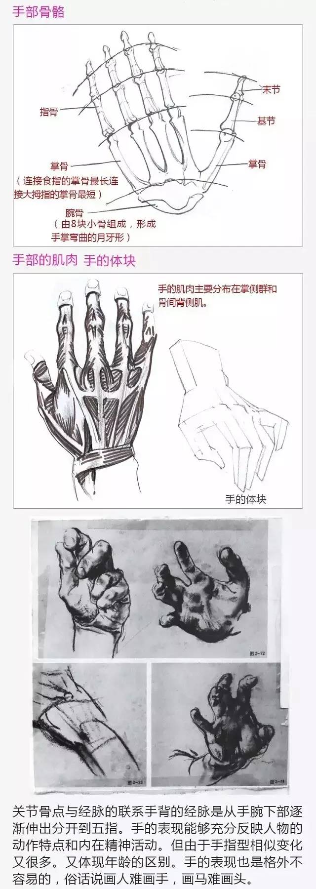 2017年美術(shù)聯(lián)考加分秘籍之頭像五官透徹解析 2017年美術(shù)聯(lián)考加分秘籍之頭像五官透徹解析