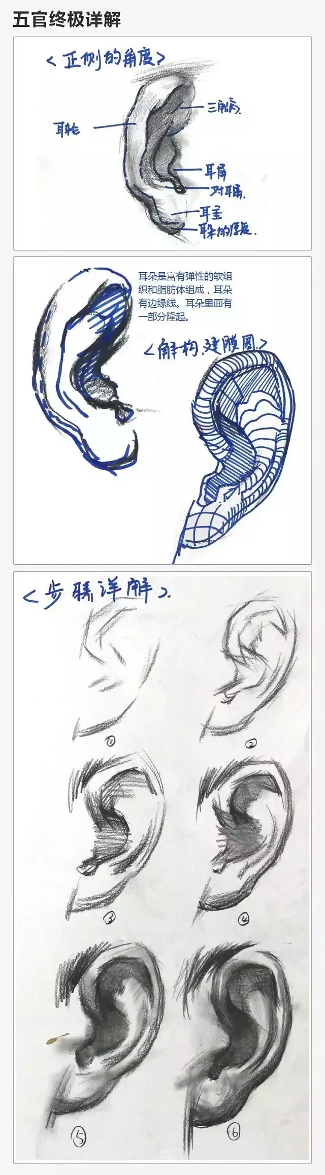 2017年美術(shù)聯(lián)考加分秘籍之頭像五官透徹解析 2017年美術(shù)聯(lián)考加分秘籍之頭像五官透徹解析