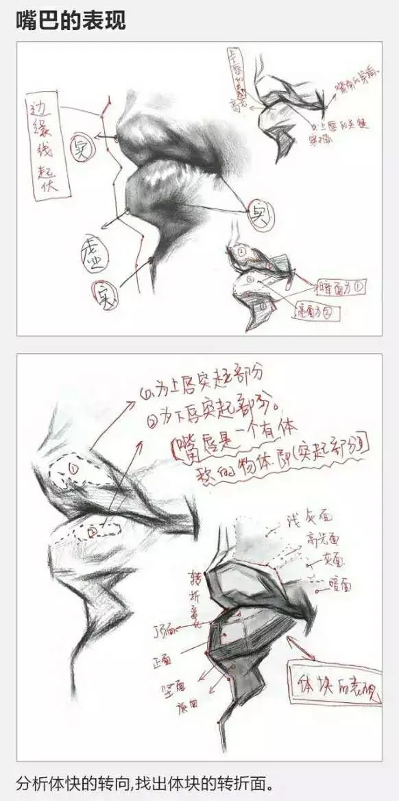 2017年美術(shù)聯(lián)考加分秘籍之頭像五官透徹解析 2017年美術(shù)聯(lián)考加分秘籍之頭像五官透徹解析